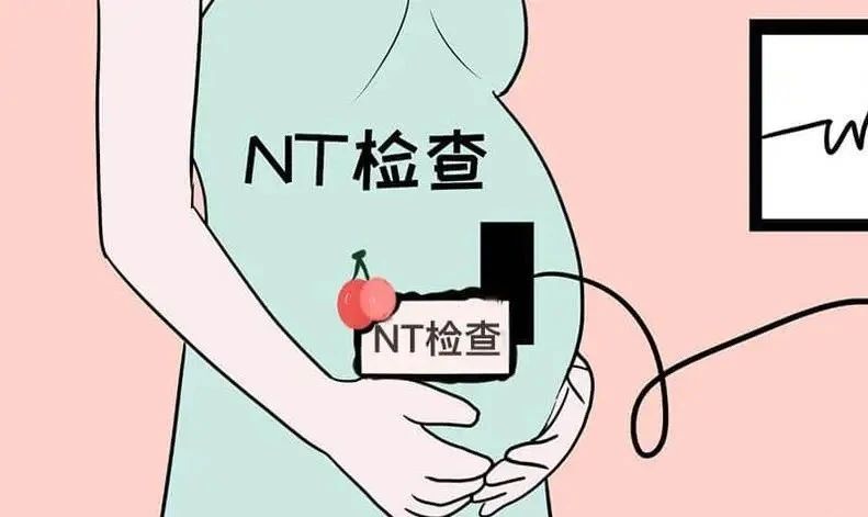 ̥һPNTz顱ʋǧfe`