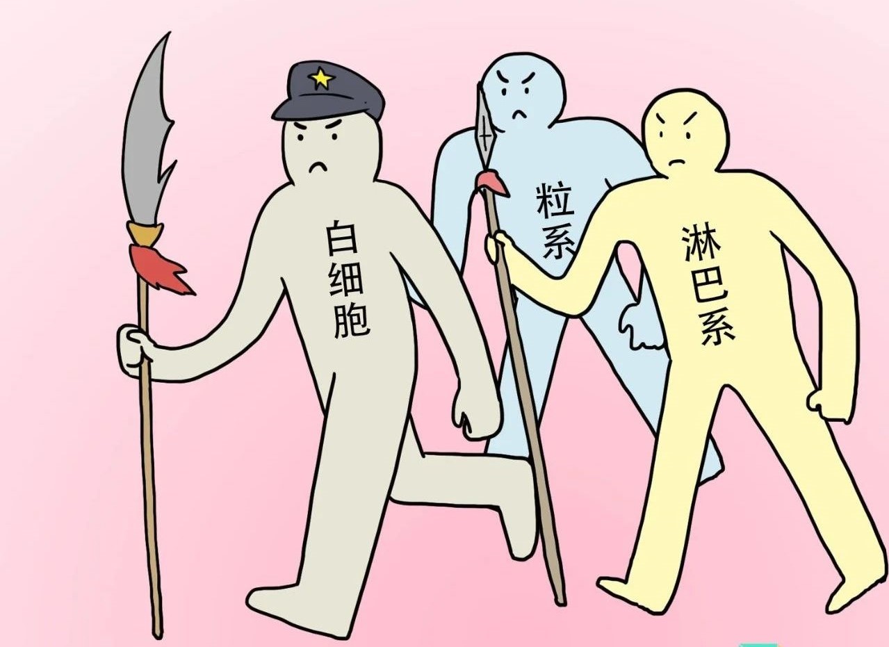 ѪҎм^ǽt